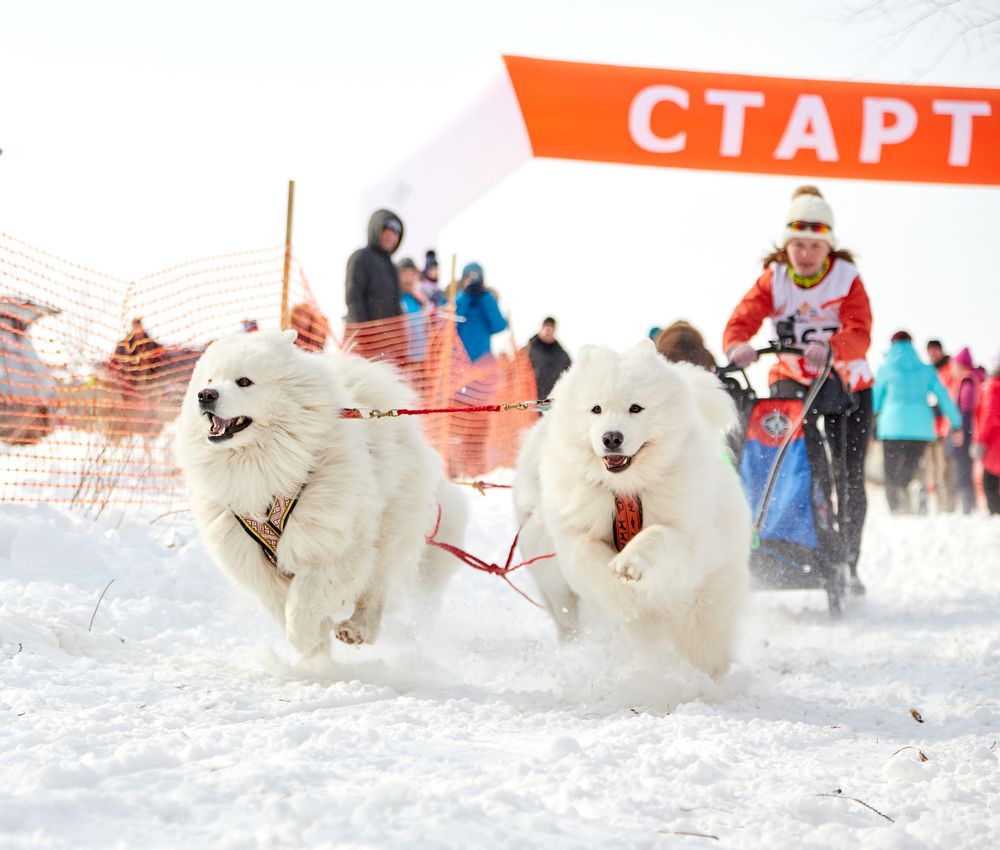 Photograph by Татьяна Кравель