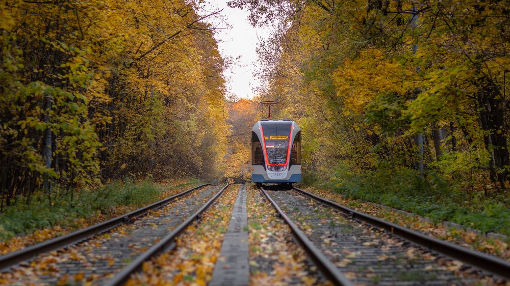 Photograph by Марина Демидова