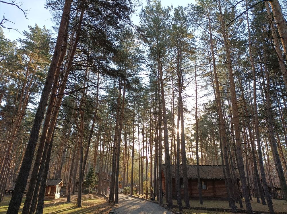 Photograph by Ольга Короткова