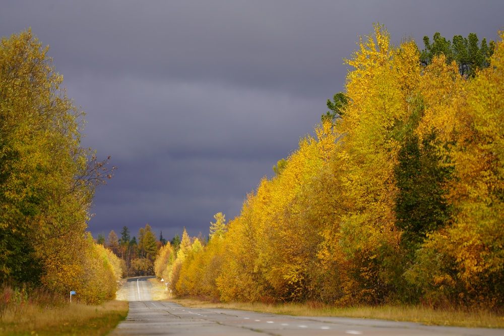 Фотография автора Виктория Ким