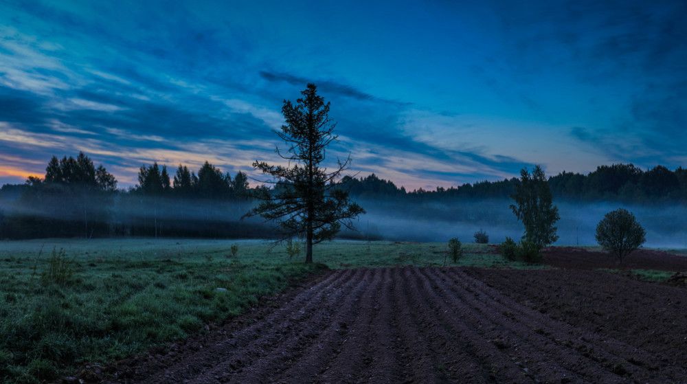 Photograph by Михаил Бояркин