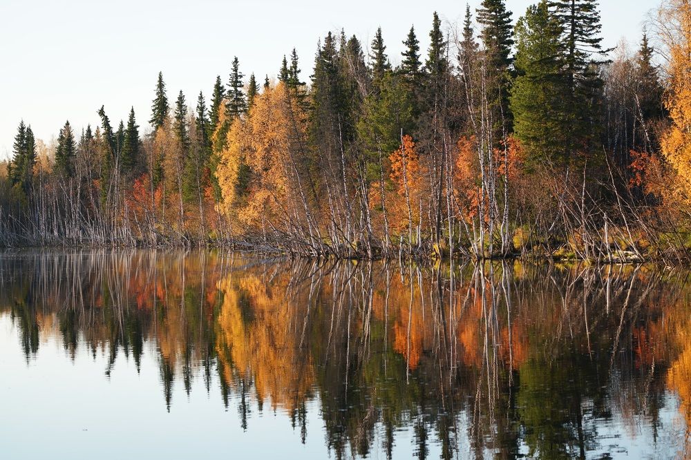 Фотография автора Виктория Ким