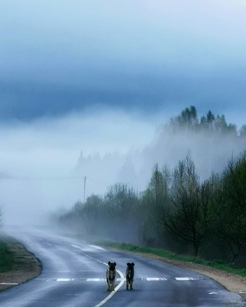 Photograph by Ольга