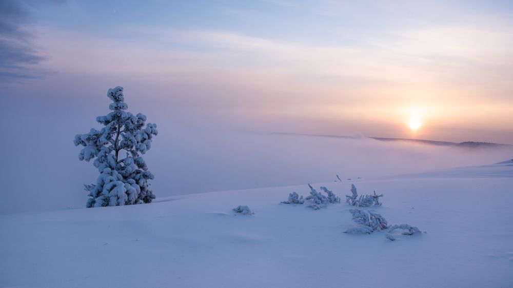 Photograph by Василий Иванов