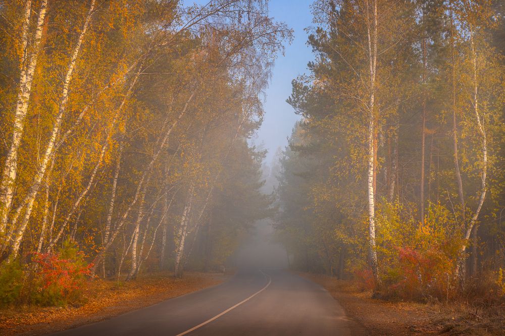 Дорога в осень