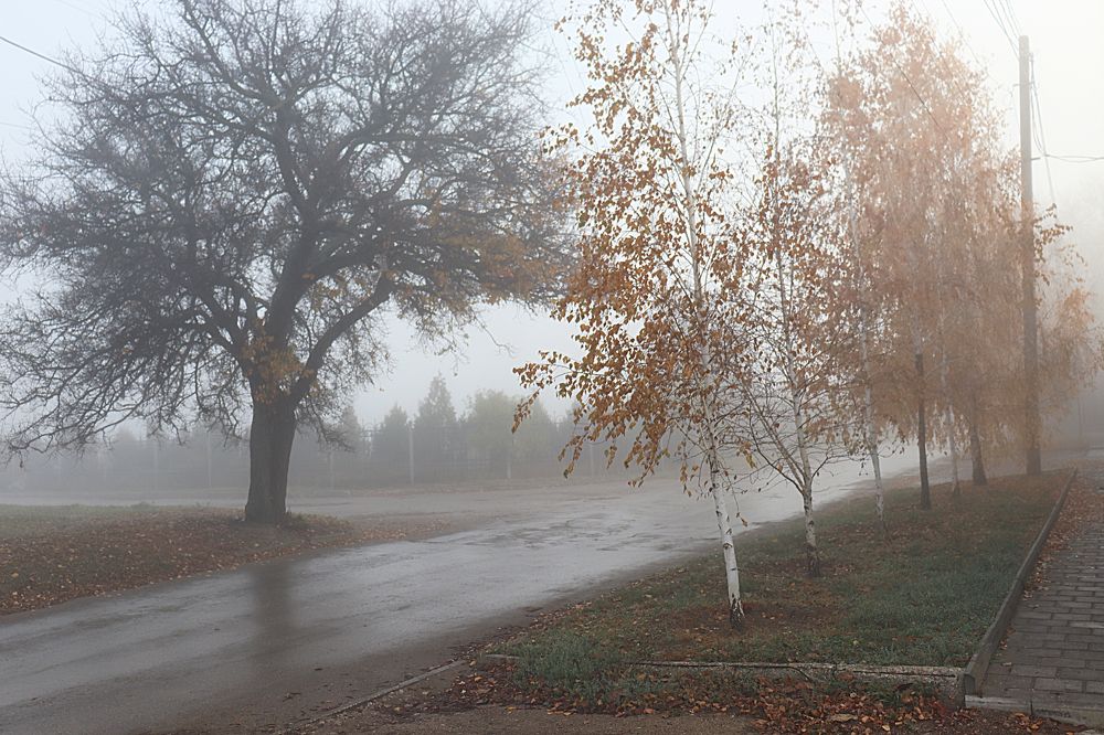 Photograph by Сергей. Андреев.