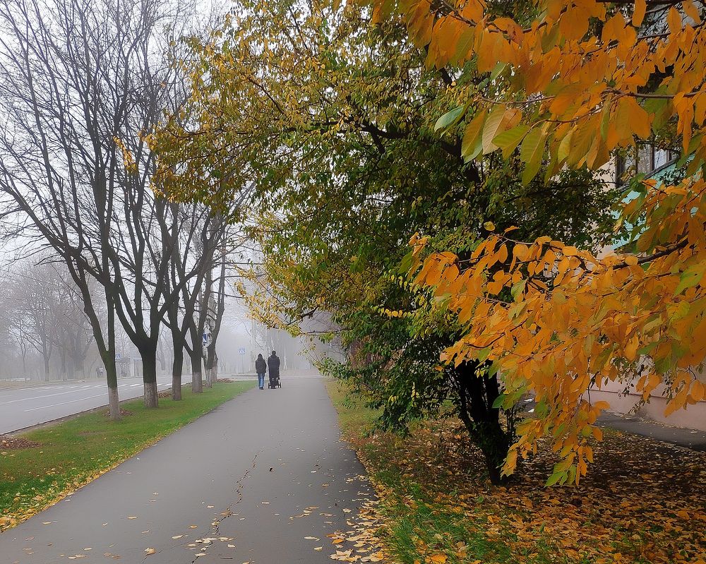 Photograph by Светлана Смирнова