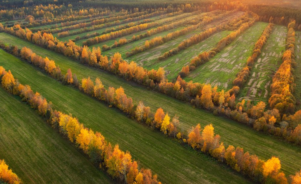 Photograph by Elena Gureva