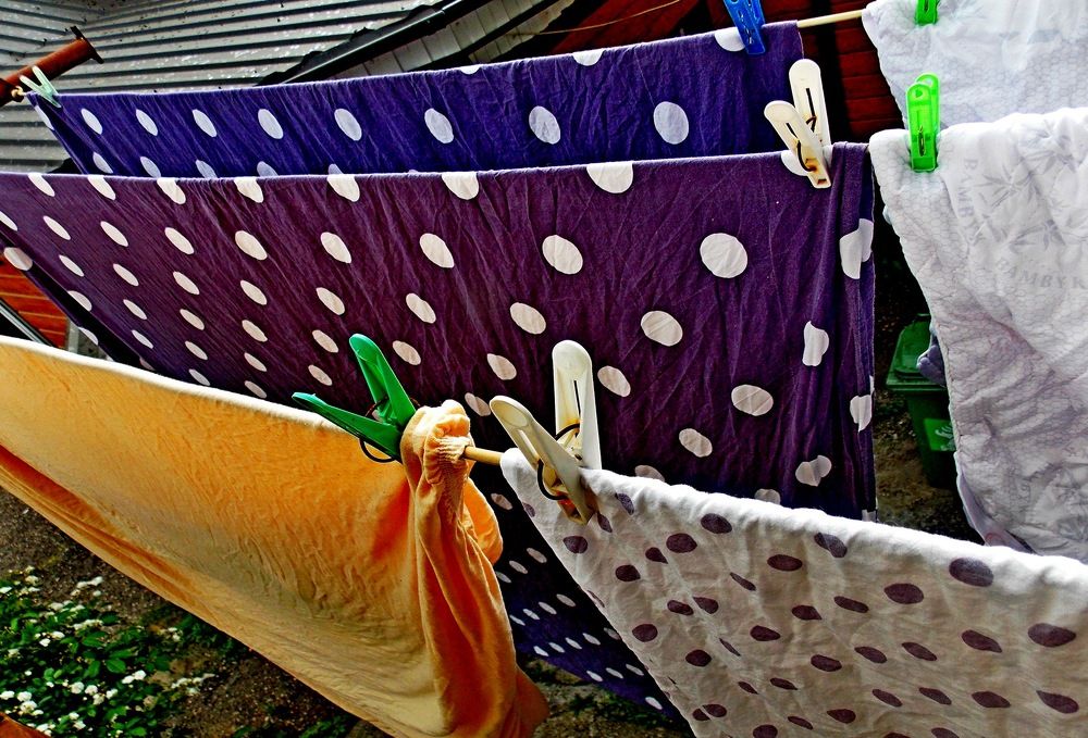 Photograph by Евгений Бригиневич - Снежин