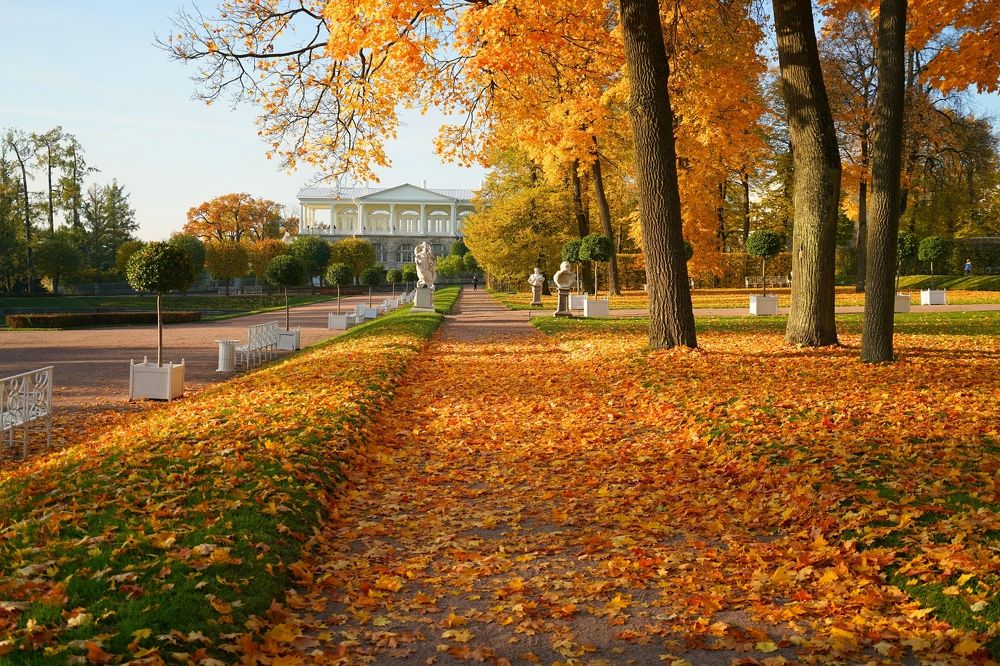 Осеннее утро