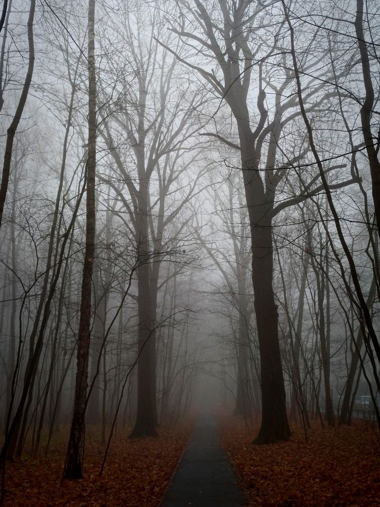 Photograph by Eлена Смирнова