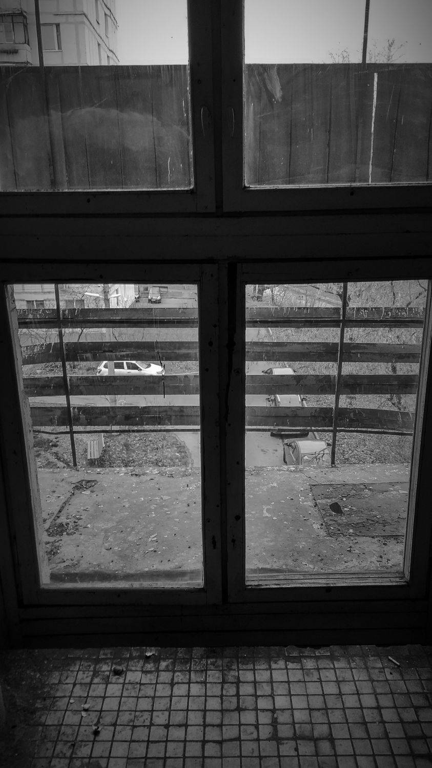 Photo #6696746