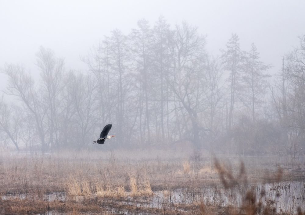 Photograph by Сергей Степанов