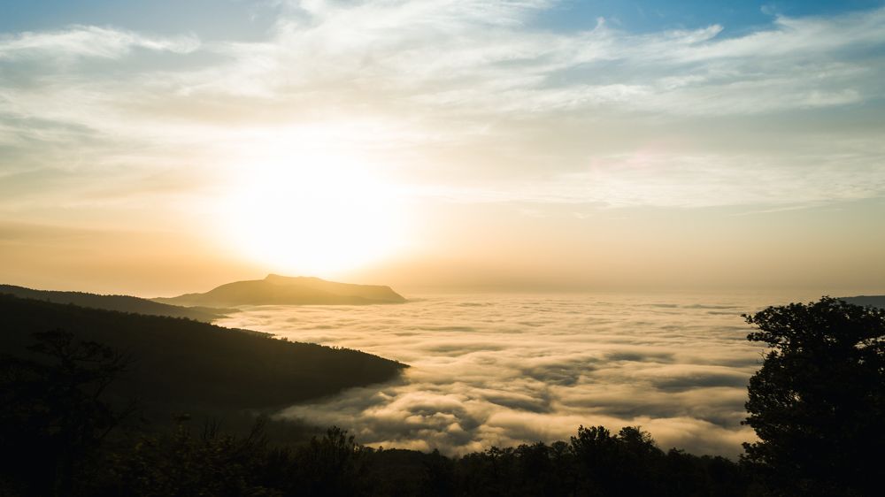 Photograph by mehrshad hassani