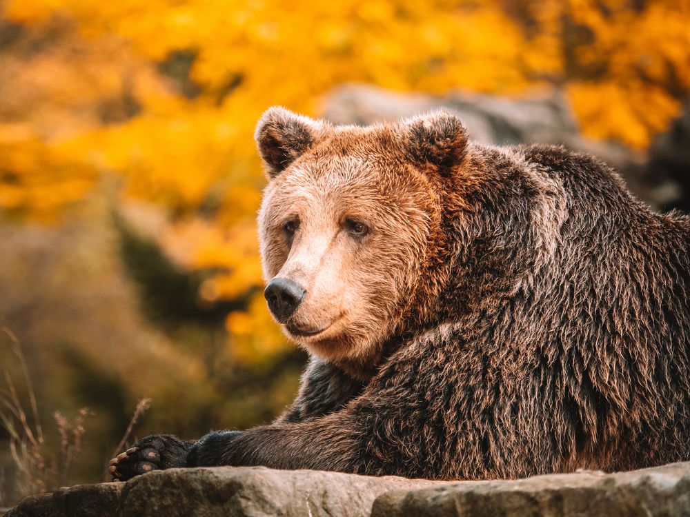 Photograph by Шихалеева