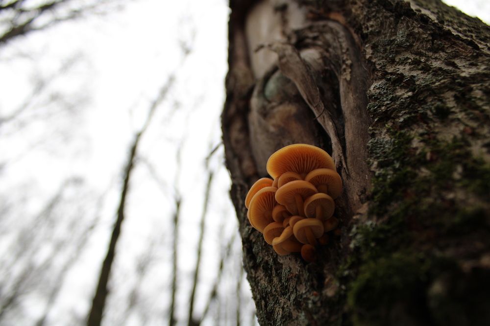 Фотография автора Иван Кириллов