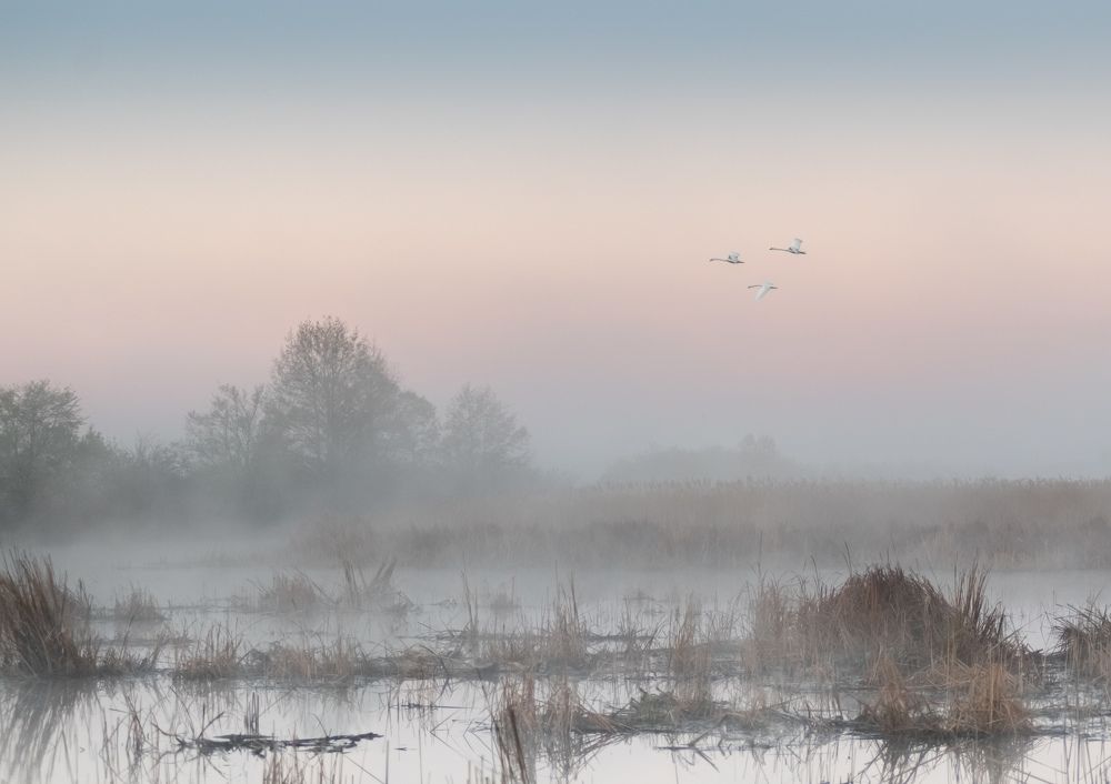 Photograph by Сергей Степанов