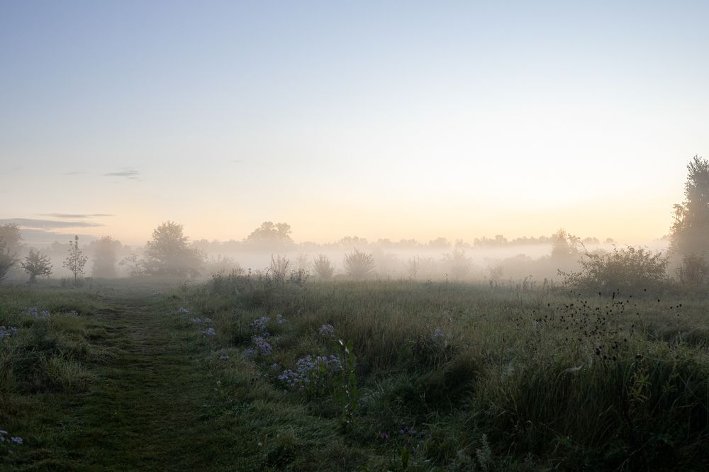 Photograph by Оксана Корчагина