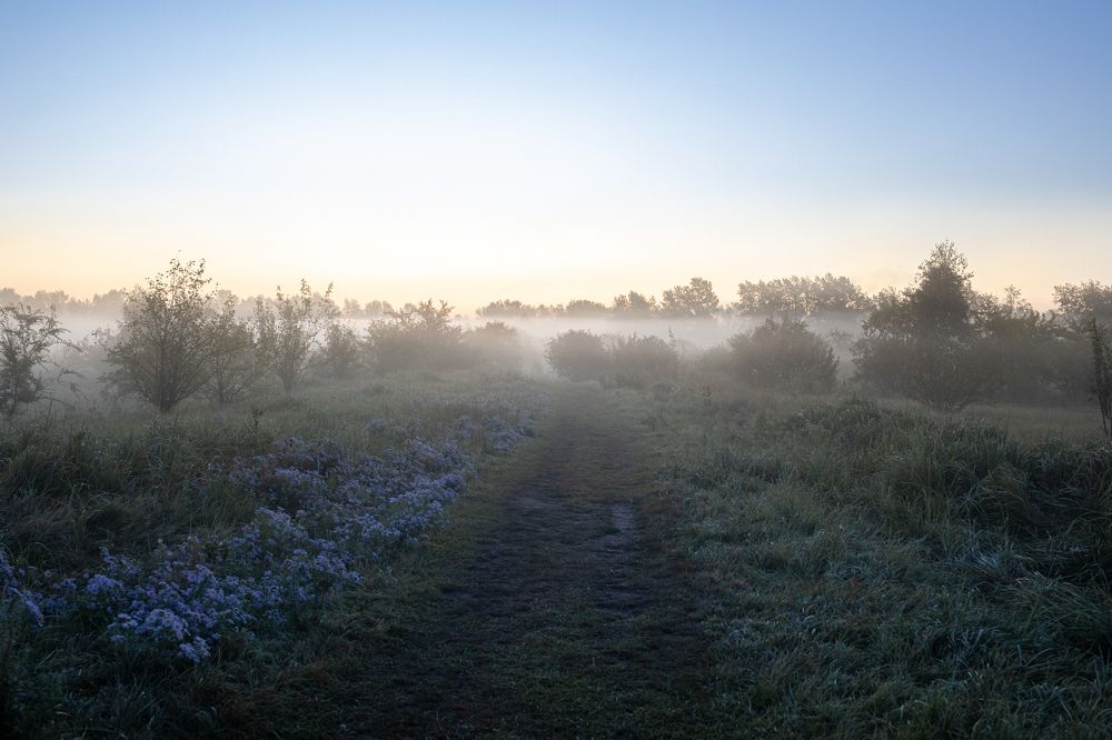 Photograph by Оксана Корчагина