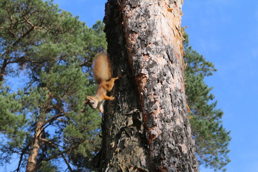 Photograph by Софья