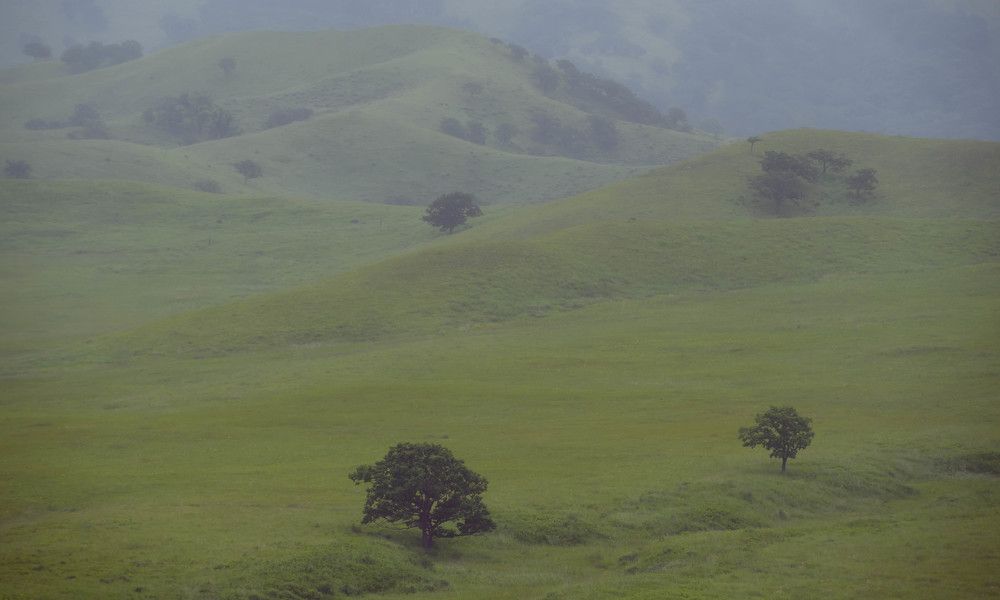 Photograph by Олег Волков