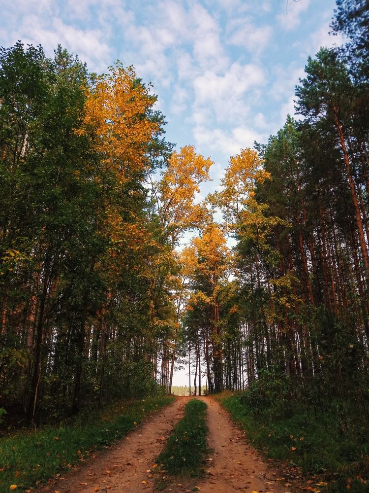 Photograph by Екатерина Коршунова