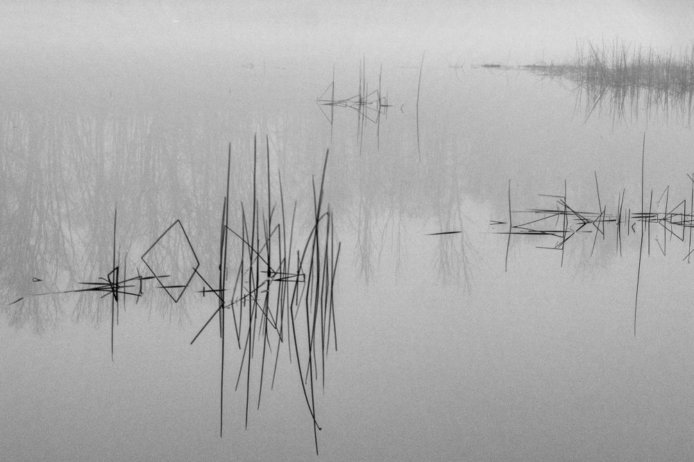 Река в тумане