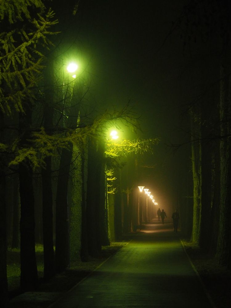 Photograph by Андрей Михайлин