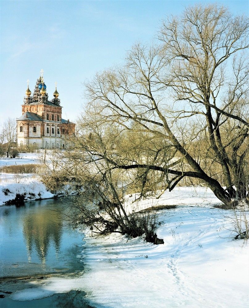 В утренних лучах