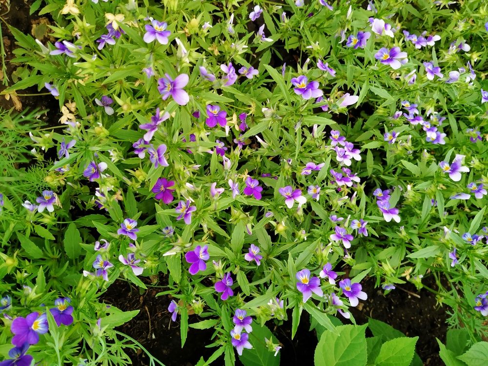 Photograph by Елена Чурынина