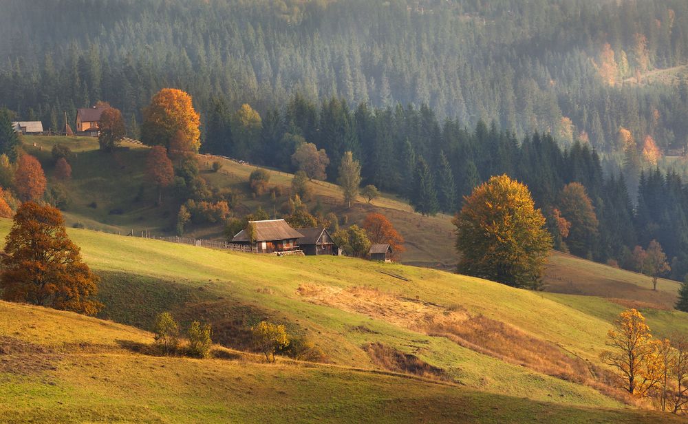 Photograph by Ольга Максимова