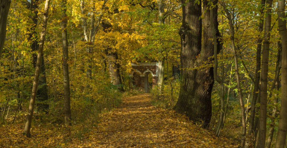 Осень в парке