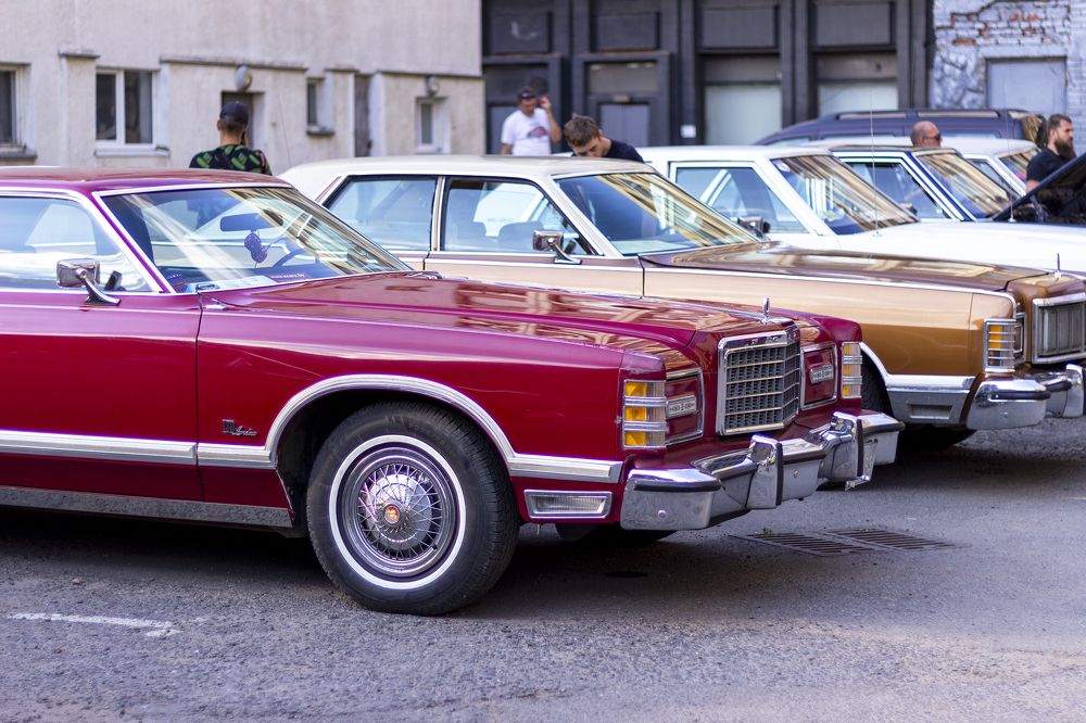 Фотография автора Ольга Войтехович