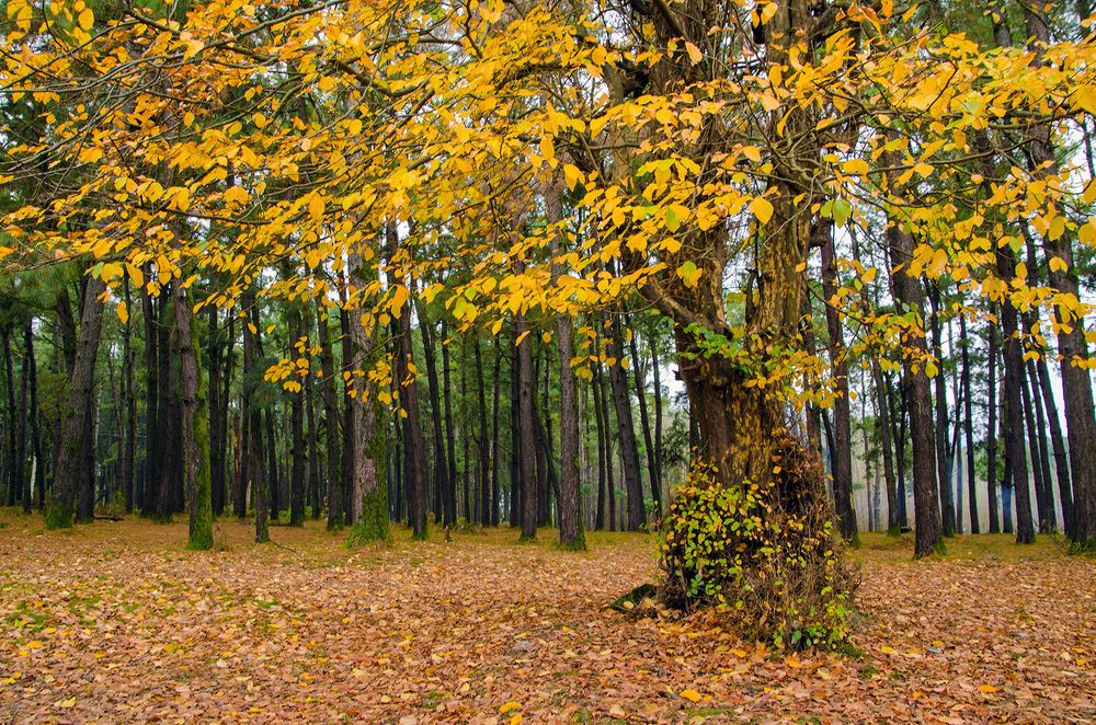 Photograph by Sahar Jafari