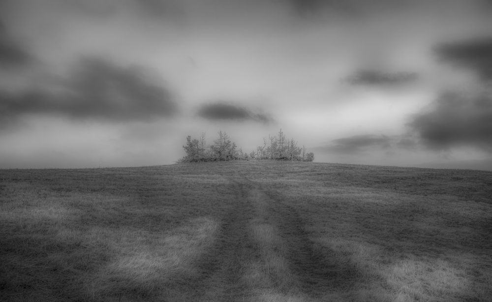 Photograph by Venelin Dimitrov