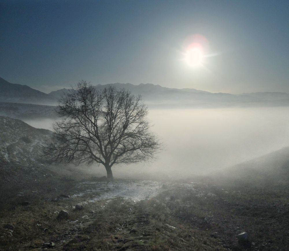 Photograph by Орынбек Асилбаев