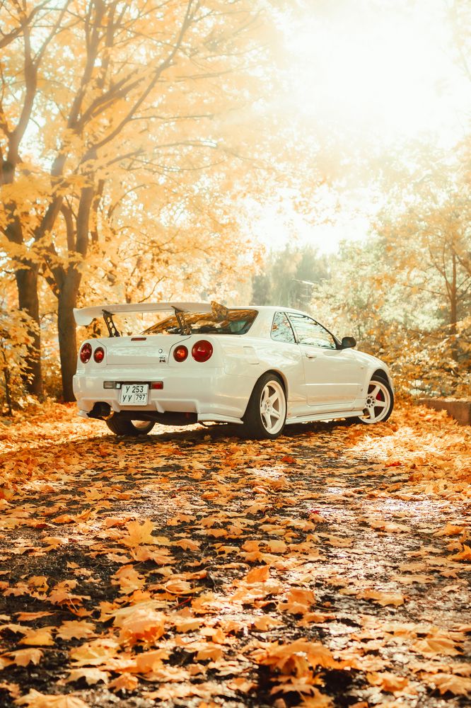 Photograph by Илья Красильников