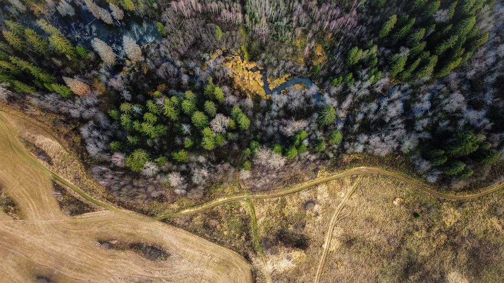 Photograph by Николай Тышкунов