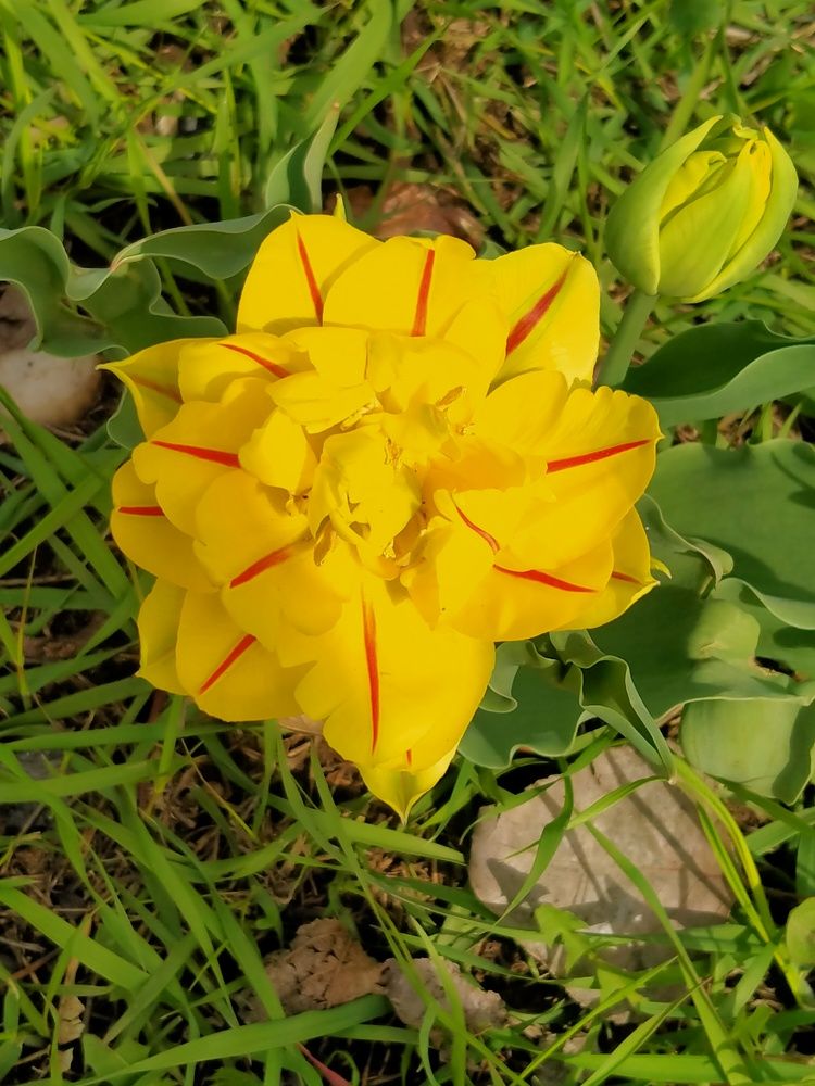 Природой живёт человек