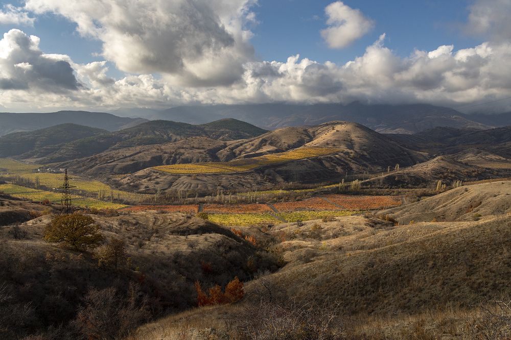 Photograph by Альбина Колодяжная