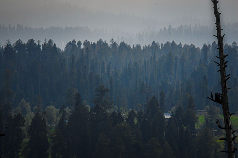 Фотография автора Basit nisar