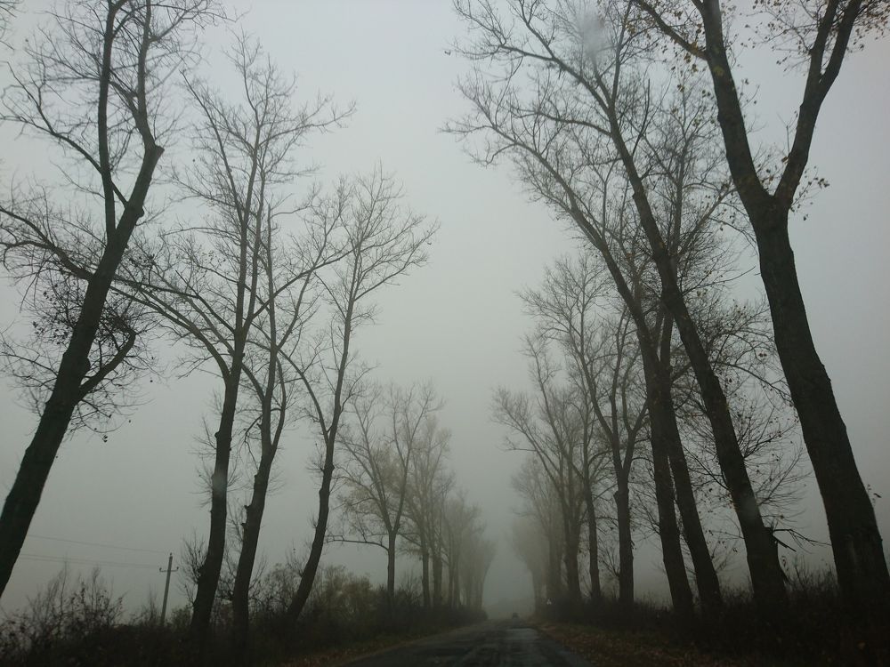 Photograph by Victor Movila