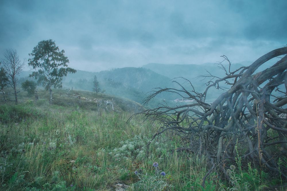 Photograph by Алексей Курочкин