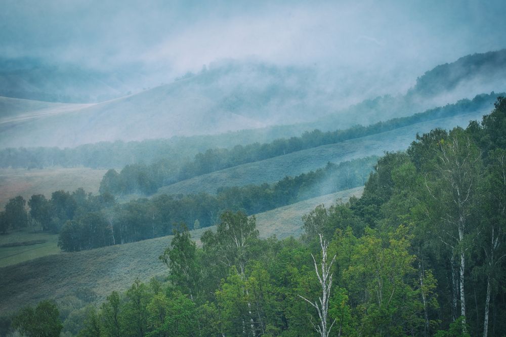 Photograph by Алексей Курочкин