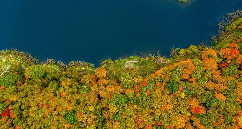 Photograph by Паша Савельев