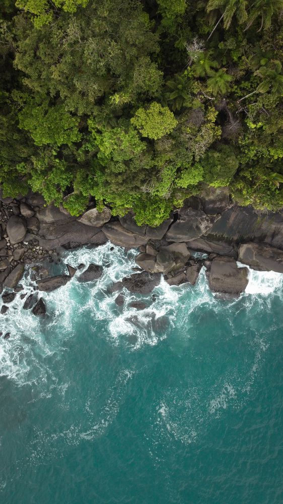 Photograph by Jean Cursino