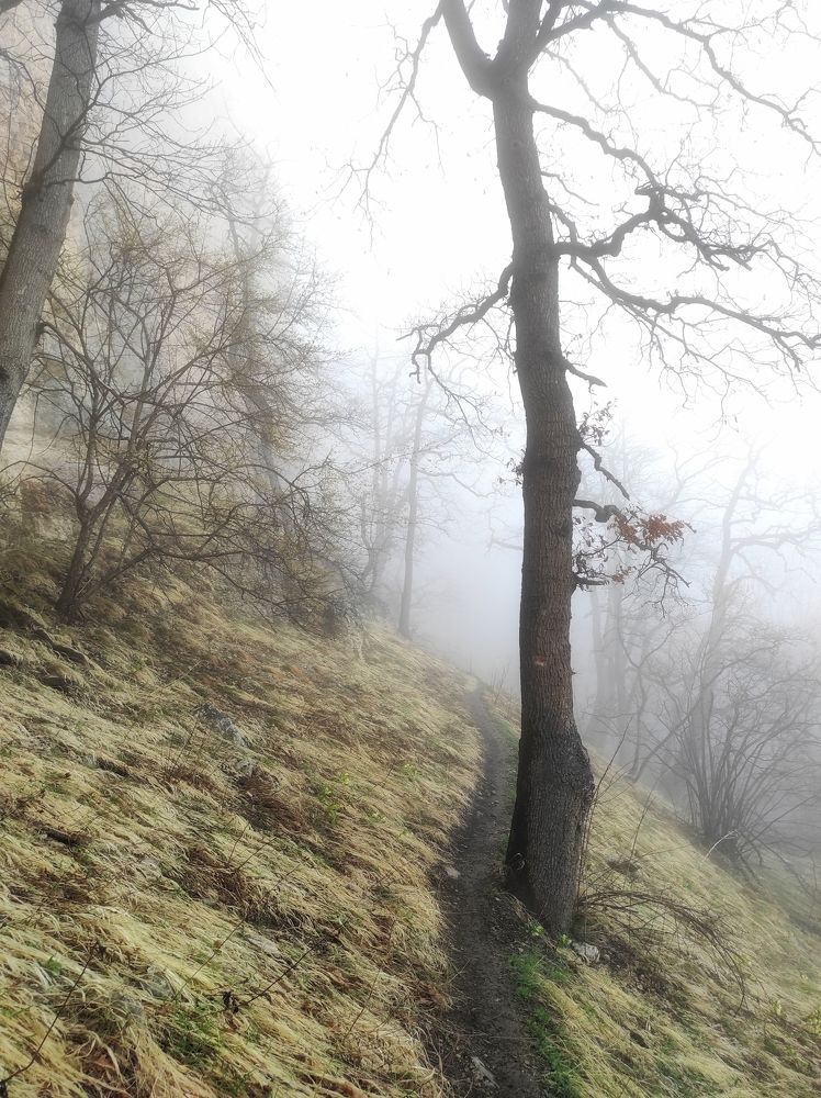 Photograph by Владимир Караман