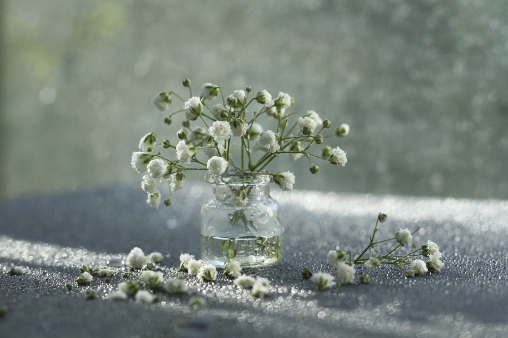 Photograph by Алена