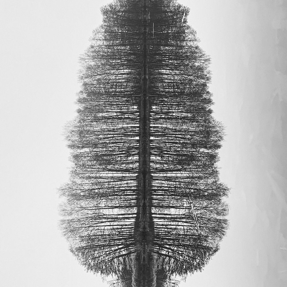 Photograph by Логинова Наталия