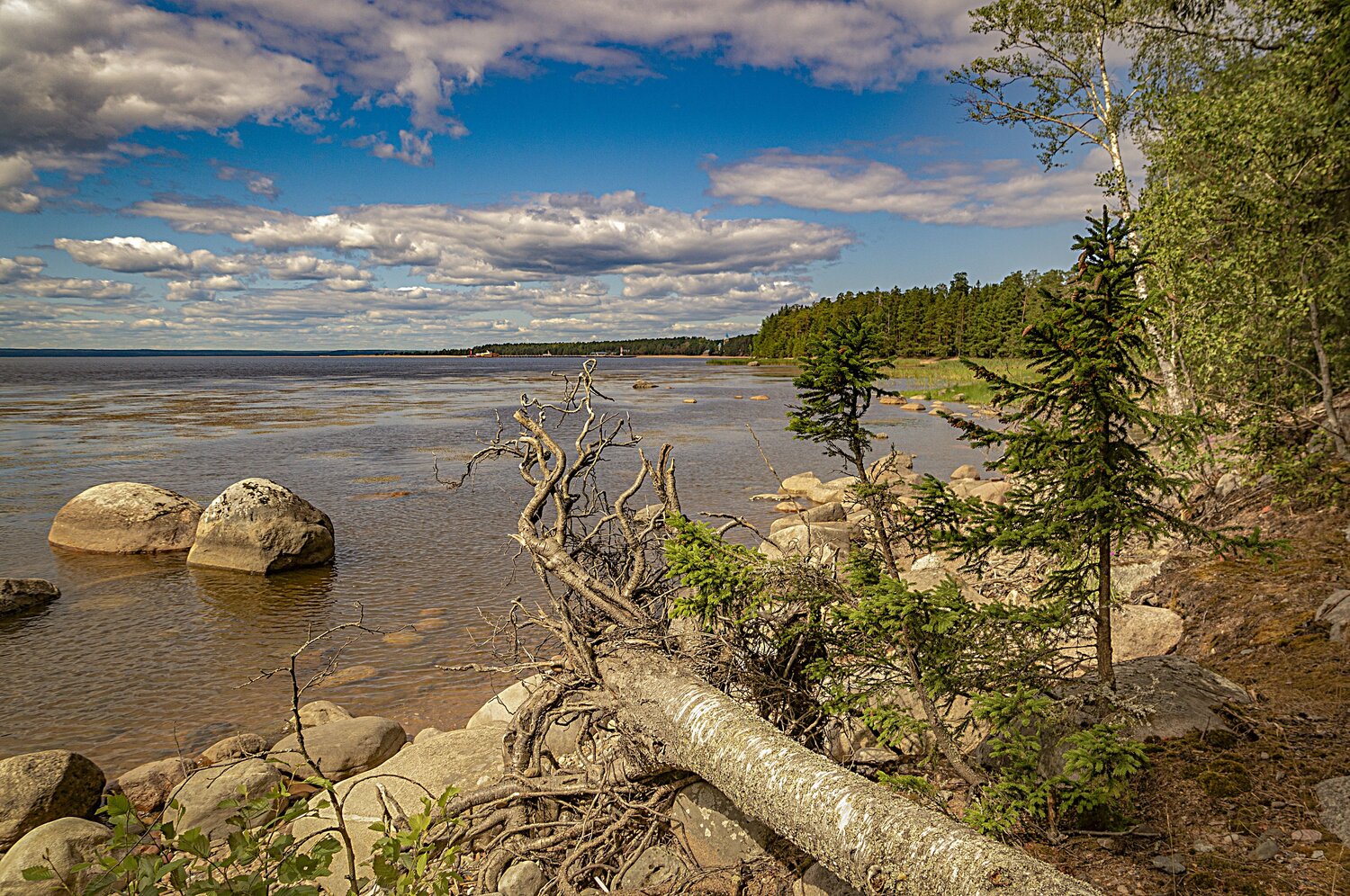 Photo #6697362